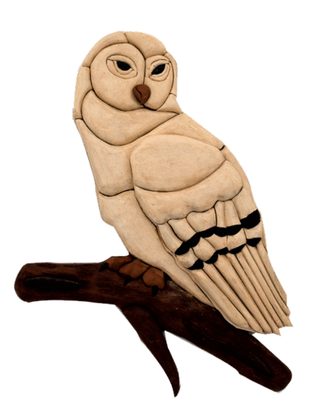 Coruja polar